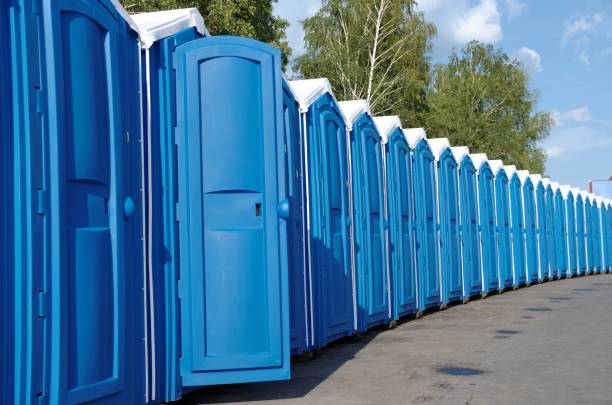 Best Best portable toilet rental  in Cheboygan, MI